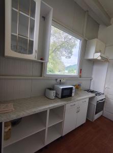 a kitchen with a counter with a microwave and a window at CASUTA La Amy in Pangarati +6 photos