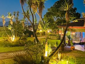 a garden at night with palm trees and lights at Villa Hacienta in Ammouliani