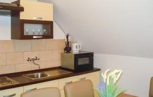 a kitchen with a sink and a microwave at 4 Bedroom Nice Home In Smoljanac in Smoljanac