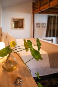 a vase on a table with a plant in it at Fare Matira Hau in Bora Bora