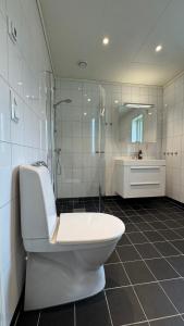 a white bathroom with a toilet and a shower at Cabin by the lake with 3 bedrooms in Kvam