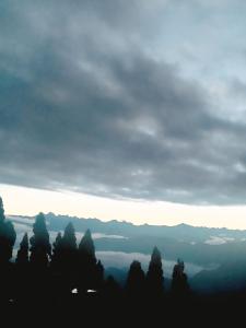 Imagen de la galería de Shriniz Hotel, en Lava