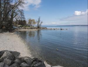 uma praia com pedras e um corpo de água em Séjour calme près du Léman em Mies
