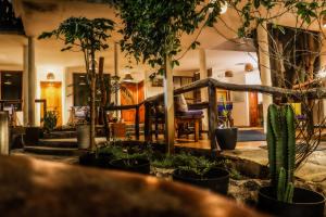 Fotografie z fotogalerie ubytování Galápagos Casa Playa Mann v destinaci Puerto Baquerizo Moreno