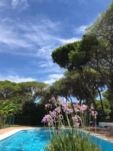 Bazén v ubytovaní VILLA DE LA LUZ Luxury Guesthouse alebo v jeho blízkosti