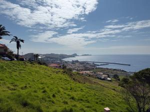 a green hill with a view of the ocean at São Lourenço 3 in Caniçal