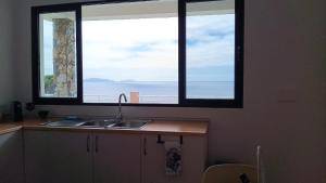 卡尼萨尔São Lourenço 3的带水槽的厨房和2扇大窗户 更多16张照片