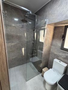 a bathroom with a glass shower with a toilet at Sofia's Home in Chania Town +15 photos