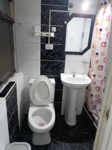 a bathroom with a toilet and a sink at 7 Borreguitos GUESTHOUSE in Cusco
