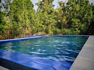 Bazén v ubytování Sigiri Mango Garden Eco Resort nebo v jeho okolí