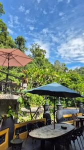 Aed väljaspool majutusasutust Jungle Inn Bukit lawang