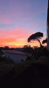 a sunset with a tree and a white building at Chambre cozy, vue sur jardin, proche Tram centre ville & aéroport in Toulouse