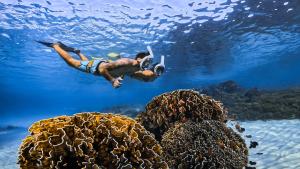 a diver swimming over a coral reef in the ocean at Dunya Villa in Gili Air