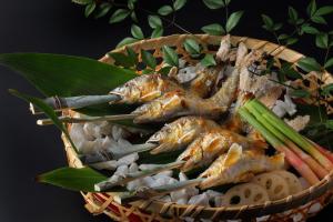 Fotografie z fotogalerie ubytování Auberge Tokino Ne v destinaci Tatejama