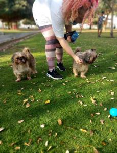 Gallery image of مسقط شقة 3 غرف نوم in Al Khawḑ