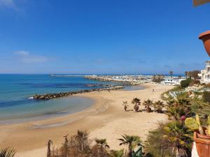 a view of a beach with palm trees and the ocean at Terrazza sul mare in Scoglitti