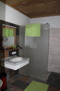 ein Bad mit einem Waschbecken und einer Dusche in der Unterkunft Alpenchalet Gosau in Gosau