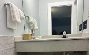 a bathroom with a sink and a mirror at Blue Way Inn and Suites Roseville in Roseville