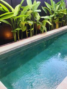 Gallery image of Villa Teduh Canggu in Dalung