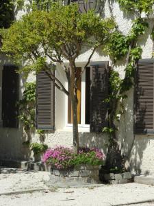 un árbol y flores frente a un edificio en Hotel de l'île en Aviñón