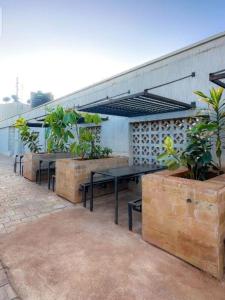 KiambuにあるTripstar villaの建物の上に置かれた植物が置かれたテーブルのグループ