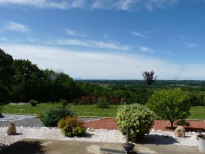 un jardin avec des rochers, des buissons et des arbres dans l'établissement Studio Bel Air, à Pimbo