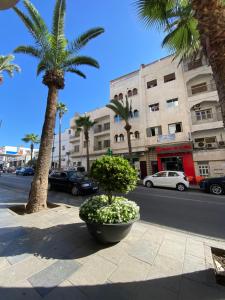 a street with palm trees on the side of the road at City Center Blue Pearl in Al Hoceïma