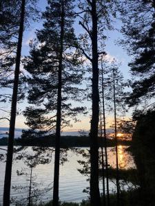 een uitzicht op een meer door de bomen bij zonsondergang bij Metsäsydän mökki 3 Vinksinvonksin 