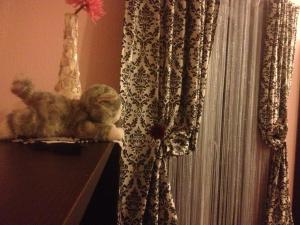 Fotografie z fotogalerie ubytování Apartments Svetlana v destinaci Utjeha