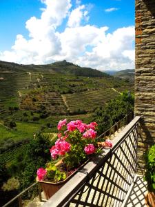 a balcony with flowers and a view of a valley at Hotel Rural da Quinta do Silval in Pinhão