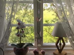 Zahrada ubytování B&B Hannåsa Gård