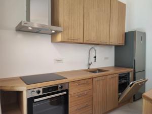 a kitchen with wooden cabinets and a sink and a refrigerator at Capo Ceraso Family Resort in Costa Corallina