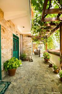 un patio esterno con porta verde e piante in vaso di Anastou's Traditional House a Kalopanayiotis