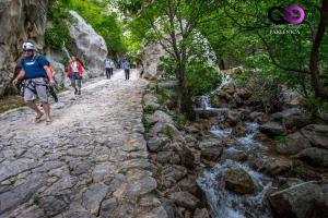 Hostia v ubytovaní Apartments in Starigrad-Paklenica 35542