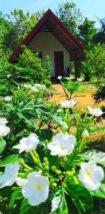 Giardino di Sigiri Enaya Cottage