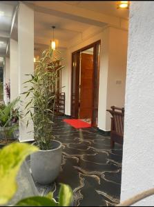 Fotografie z fotogalerie ubytování Vegetable Garden House v destinaci Nallathanniya
