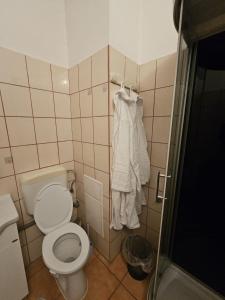 a small bathroom with a toilet and a shower at SMB home PANORAMA in Oradea