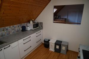 a kitchen with a counter top with a microwave at Apartmán Jako u Babičky in Tisá +46 photos