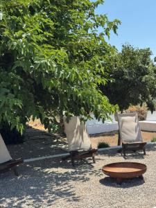 A garden outside Masía La Costereta