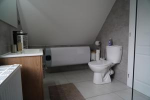 a bathroom with a toilet and a sink at Apartmán Jako u Babičky in Tisá +47 photos