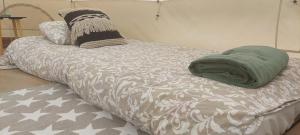 SuuremõisaJaagu Metsatelk neljale的一张带绿毯和枕头的床