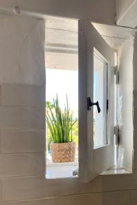 une fenêtre dans une pièce avec une plante en pot dans l'établissement Laranjeira 2 by AlmaAlgarvia, à Santa Bárbara de Nexe