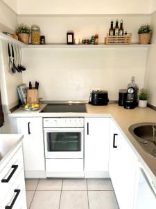 Η κουζίνα ή μικρή κουζίνα στο Apartment Alfred