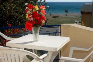 a vase of flowers on a table on a balcony at Elli Studios & Apartments in Marathokampos