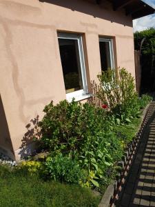 Κήπος έξω από το Ferienhaus Hankehübel