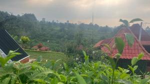 a view of a house with a field and trees at camping camp modern in Ciater