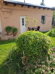 Κήπος έξω από το Ferienhaus Hankehübel