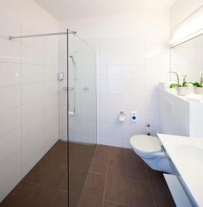 a bathroom with a toilet and a glass shower at Hotel Arcade in Sins