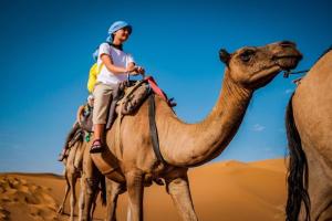 Hosté ubytování Merzouga Camping Trek