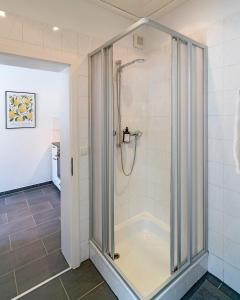 a shower with a glass door in a bathroom at Deluxe Koblenz Flat, Parken, Netflix, Ruhig in Bendorf